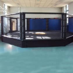 Ринг боксерский восьмиугольный на помосте диам. 6х0,5 м, сетка 1,83 м, Россия