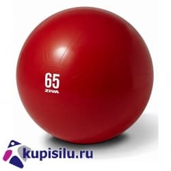 Мяч гимнастический 65 см. ZSL-ABCB-0065